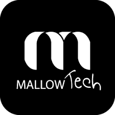 Mallow Technologies Off Campus Recruitment 2020