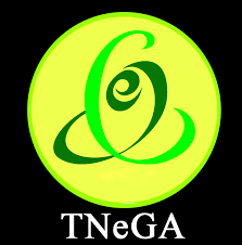 TNeGA Recruitment 2020