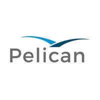 Pelican Recruitment