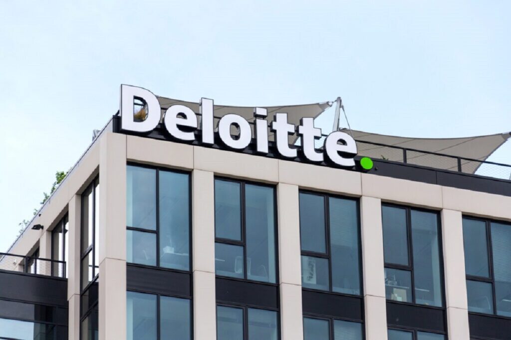Deloitte Job Update for Software Analyst