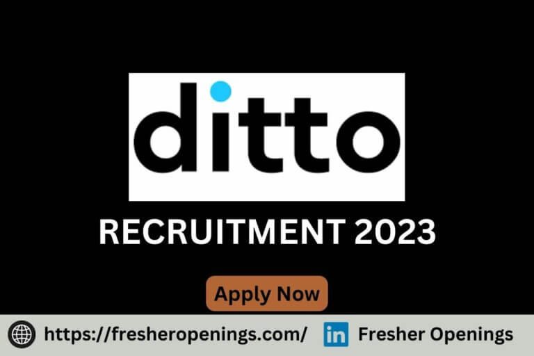 Ditto India Jobs 2023-2024
