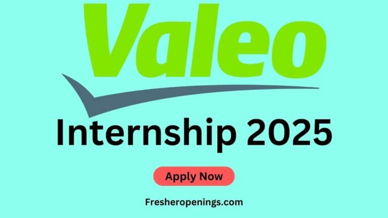 Valeo Summer Internship 2025